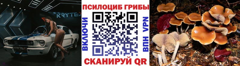 Псилоцибиновые грибы ЛСД Тейково