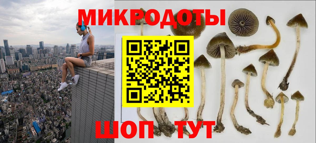 Псилоцибиновые грибы Magic Shrooms  Вход с VPN  Тейково  Галлюциногенные грибы прущие грибы 