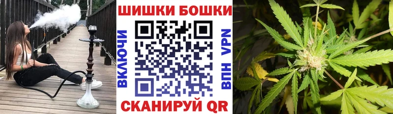 Канабис планчик  ссылка на мегу рабочий сайт  Тейково  где купить  